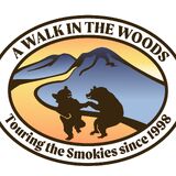 A Walk in the Woods