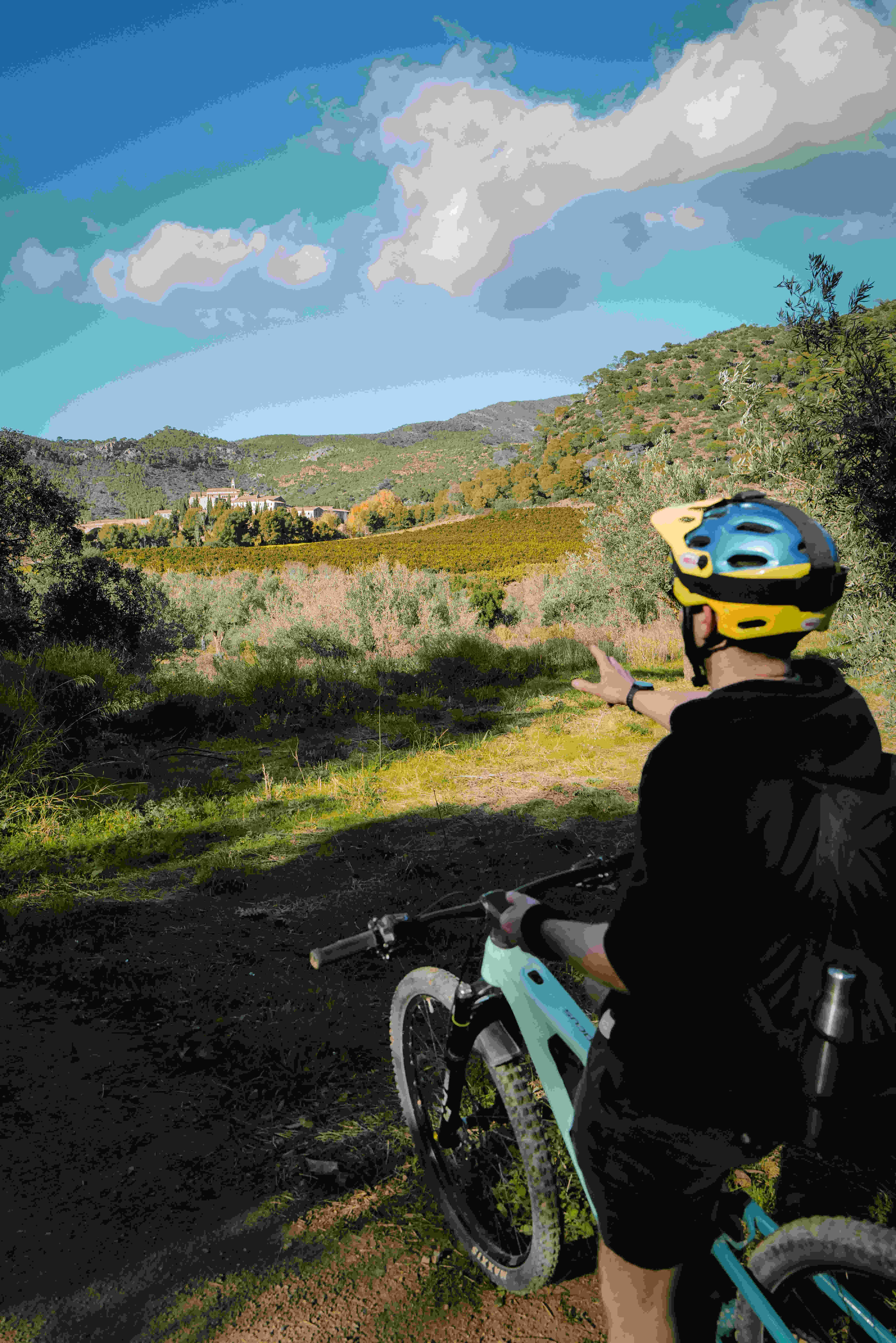 Buen Roller Bikes