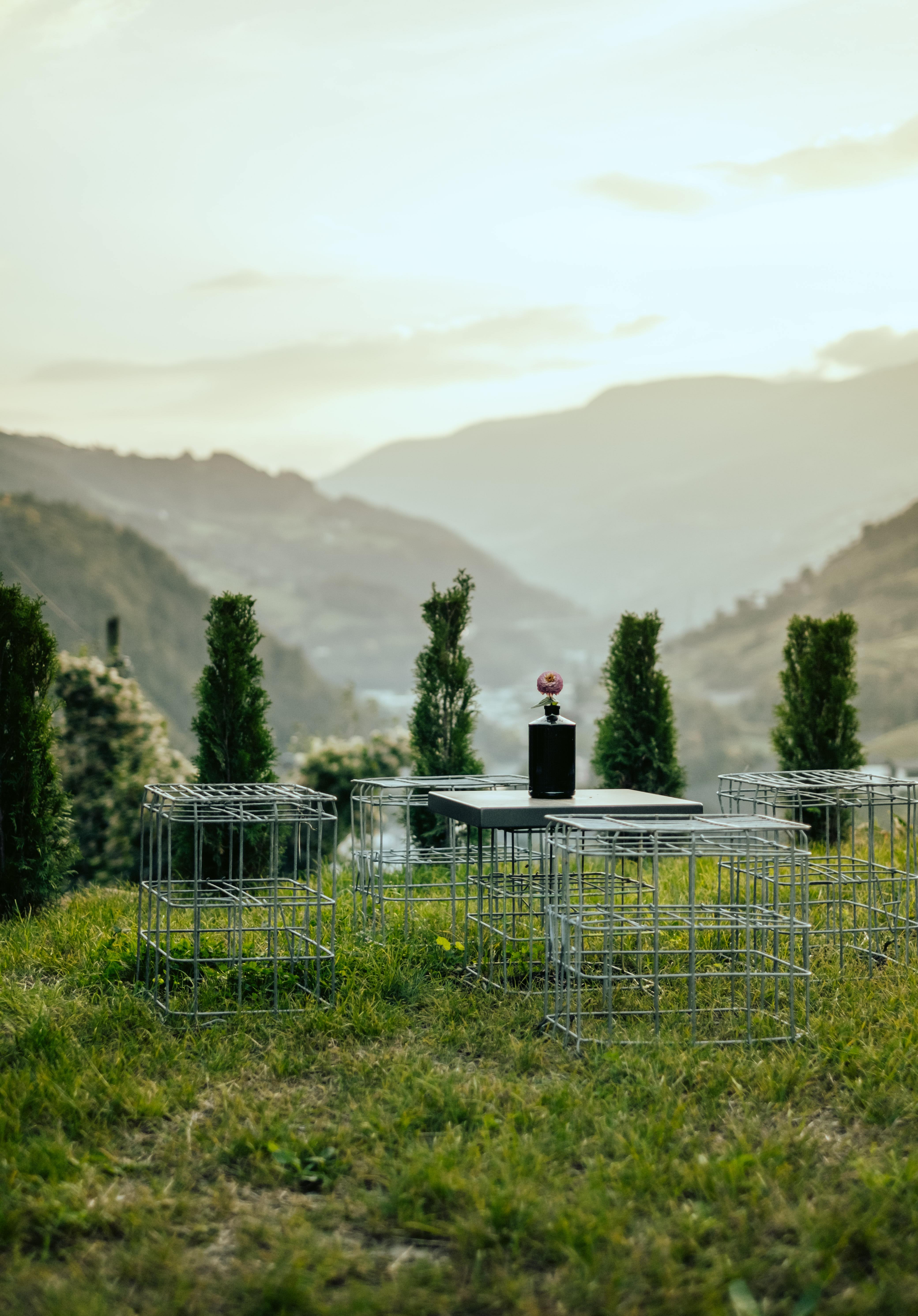 Organic winery Zöhlhof
