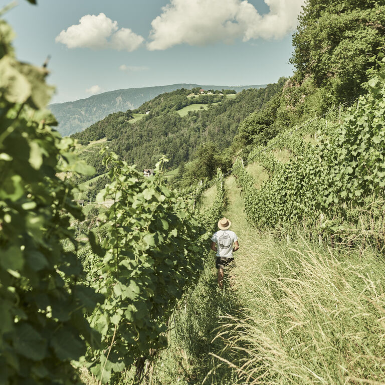 Organic winery Zöhlhof