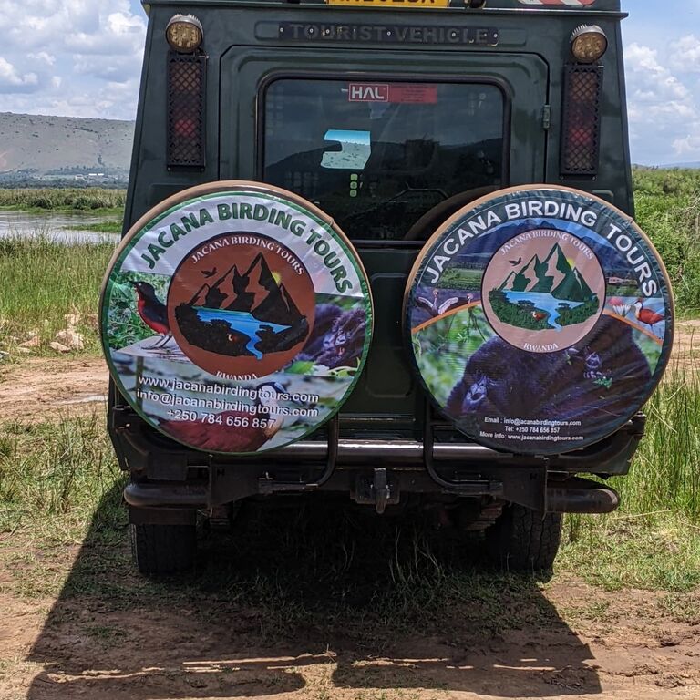 Jacana Birding Tours