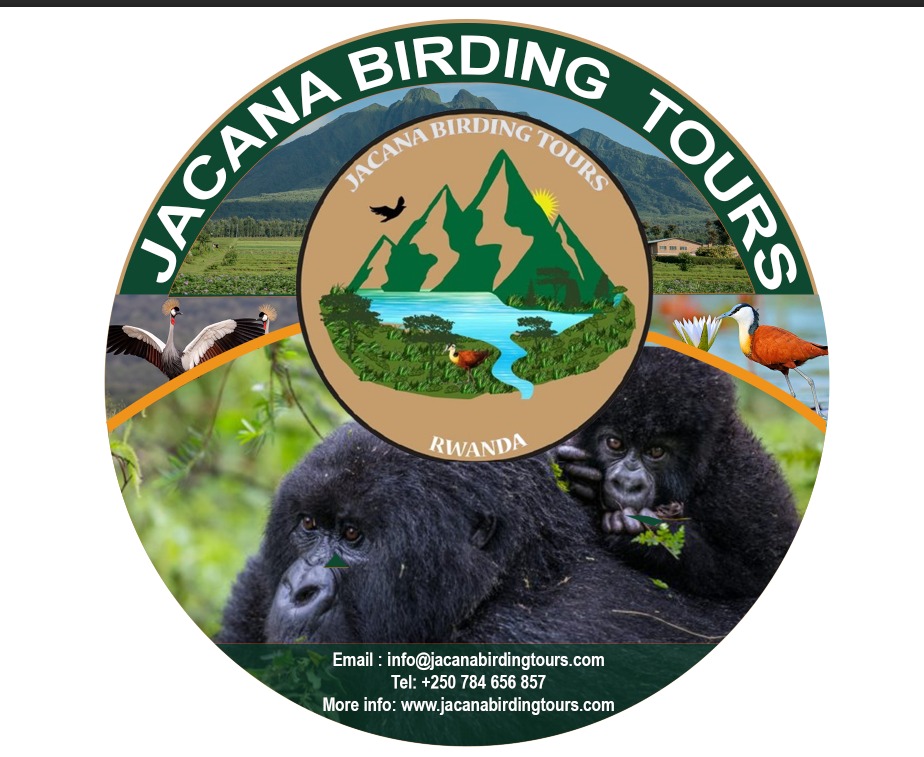 Jacana Birding Tours