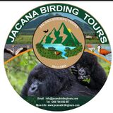 Jacana Birding Tours