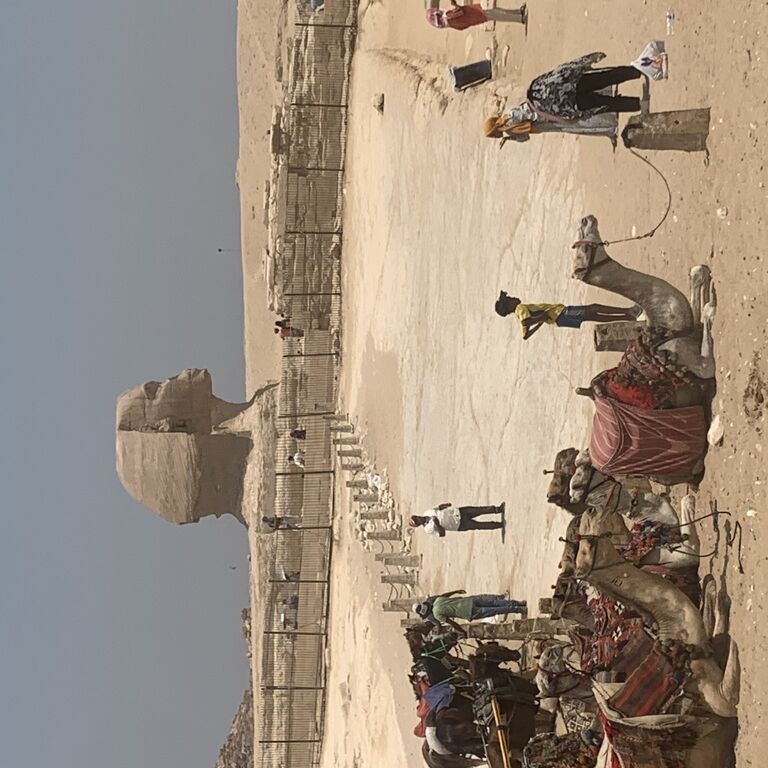 All Egypt travel