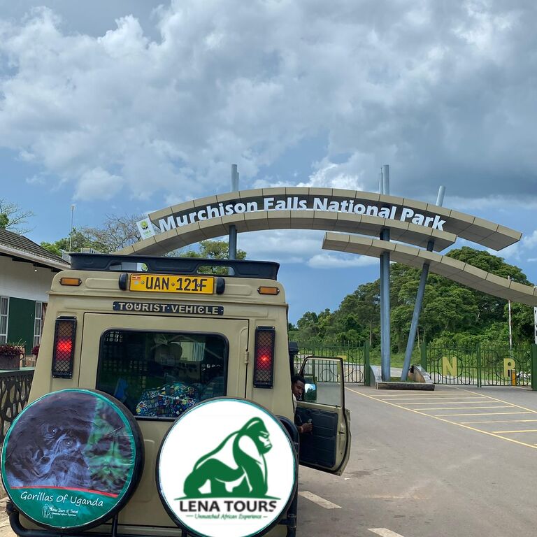 LENA TOURS 🦍