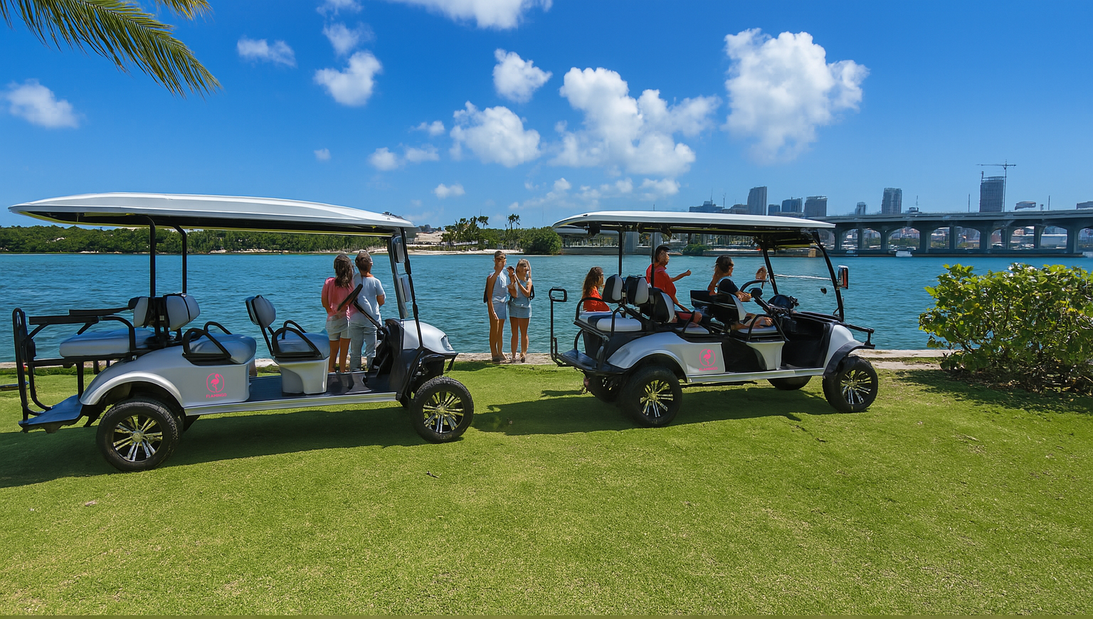 FLAMINGO GOLF CART TOURS LLC