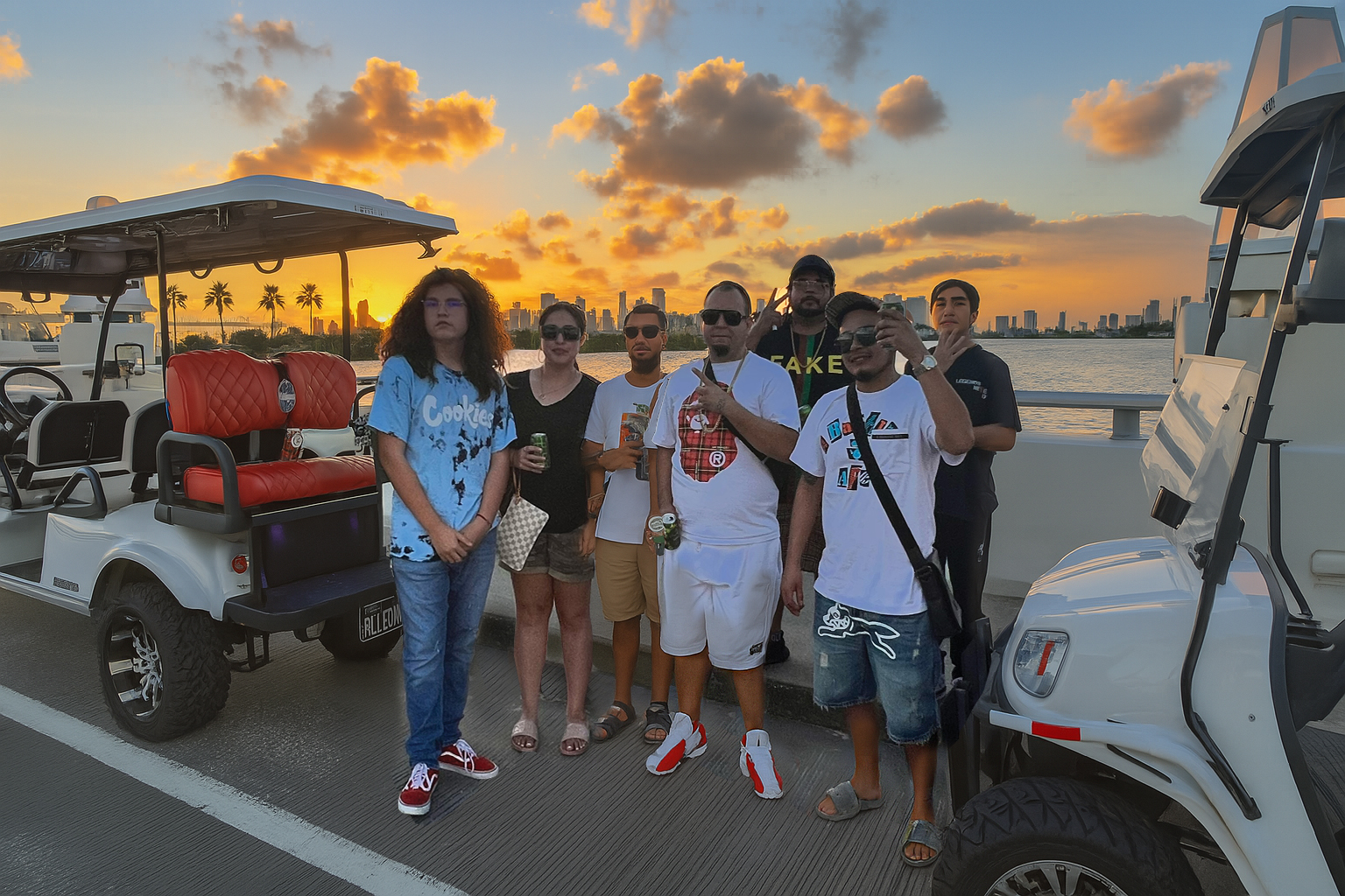FLAMINGO GOLF CART TOURS LLC