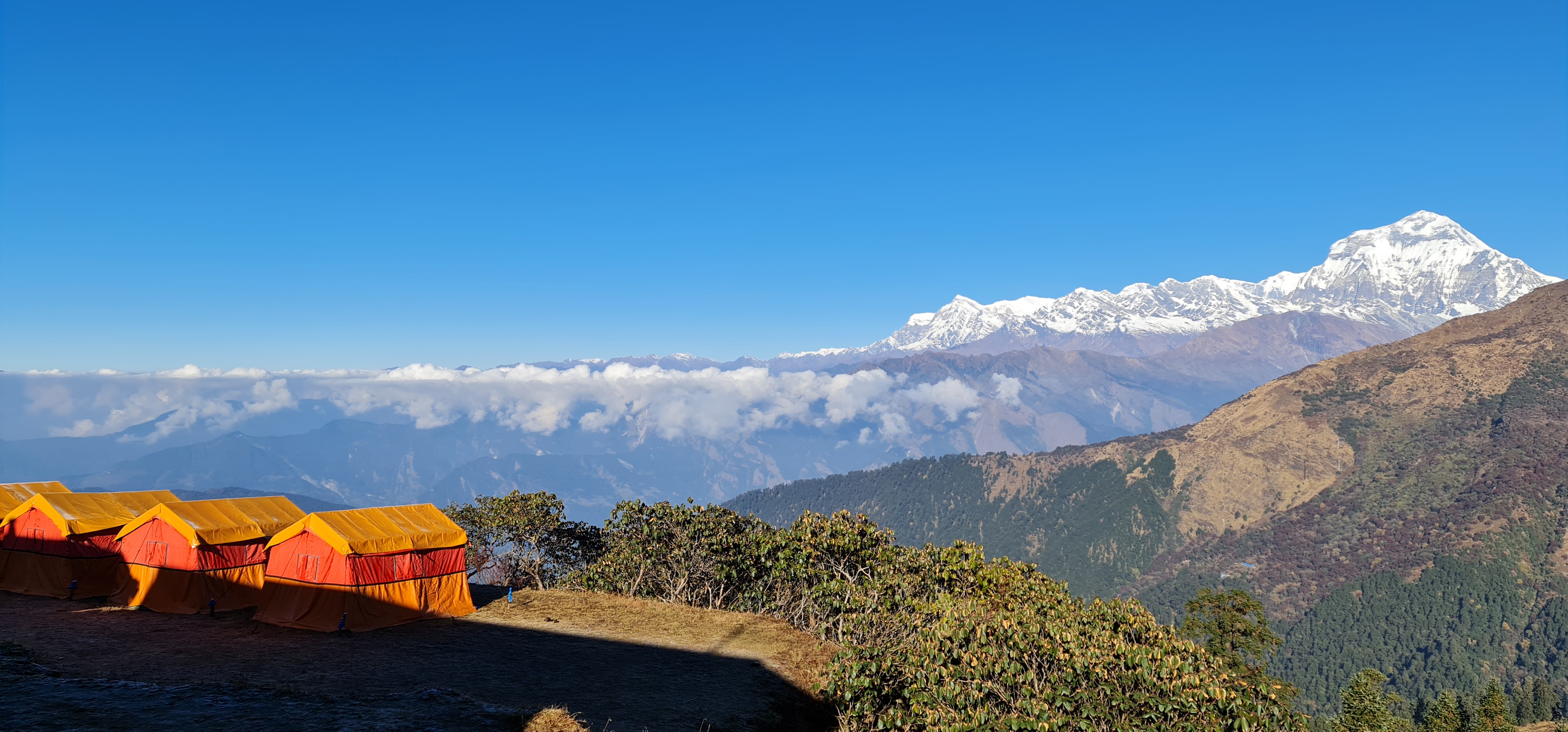 Mountain Delights Treks and Expedition Pvt. Ltd.