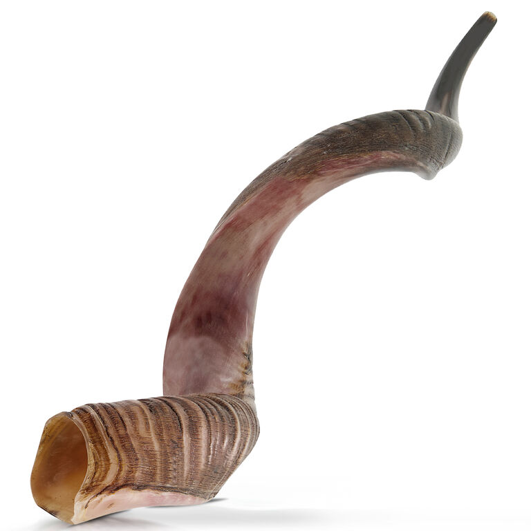 Shofar Kings