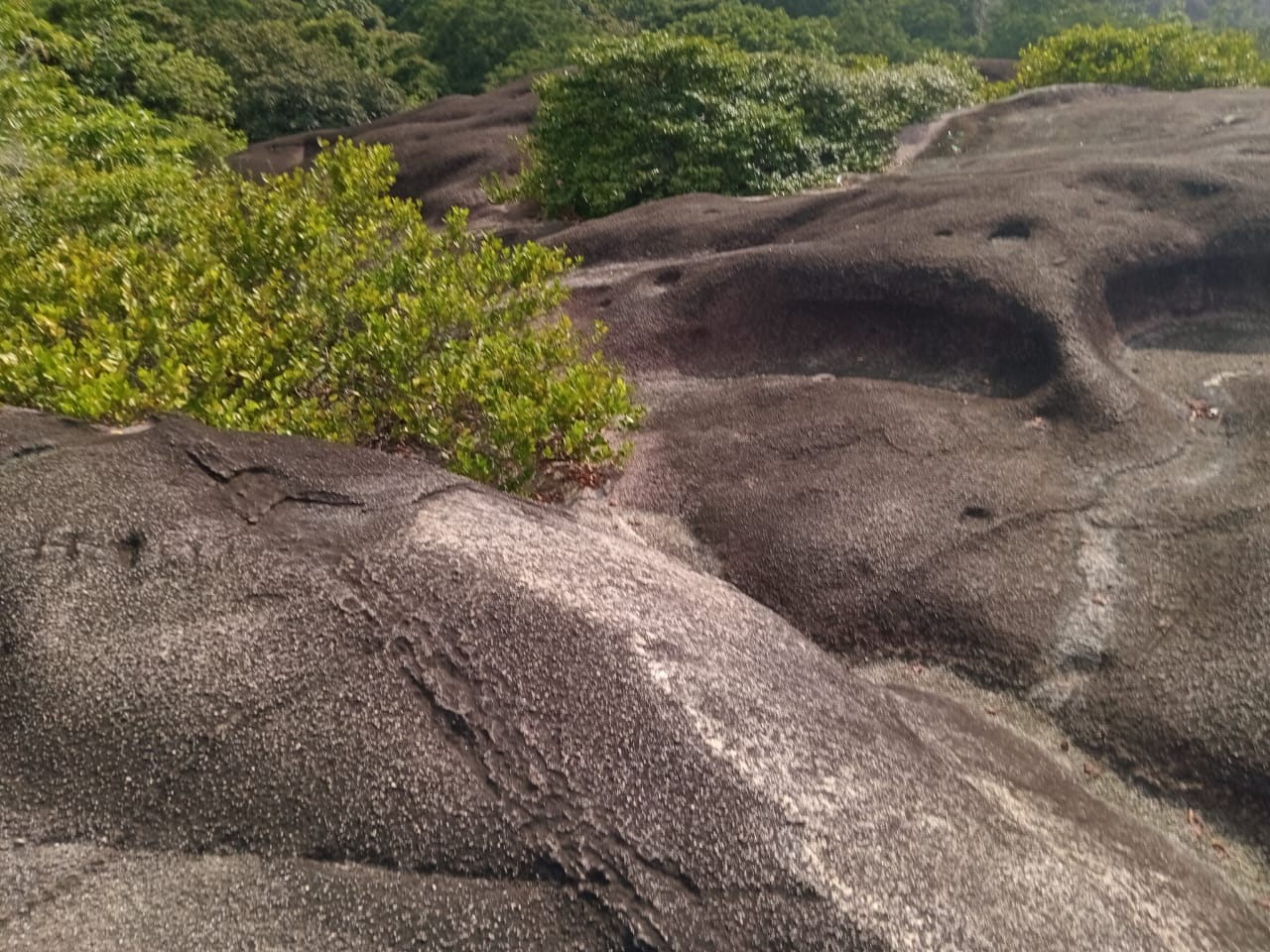 Pascal Taxi And Tours Services