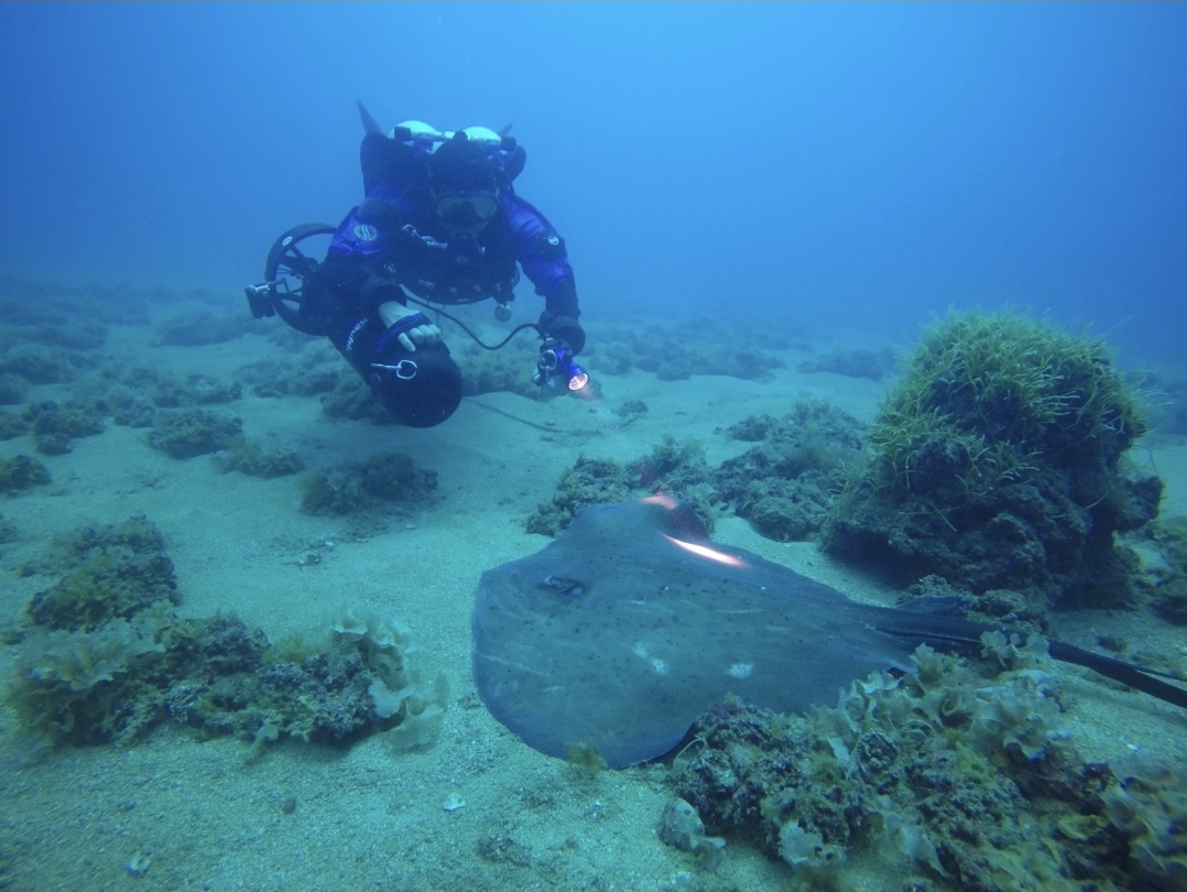 Deep Sea Diving Center