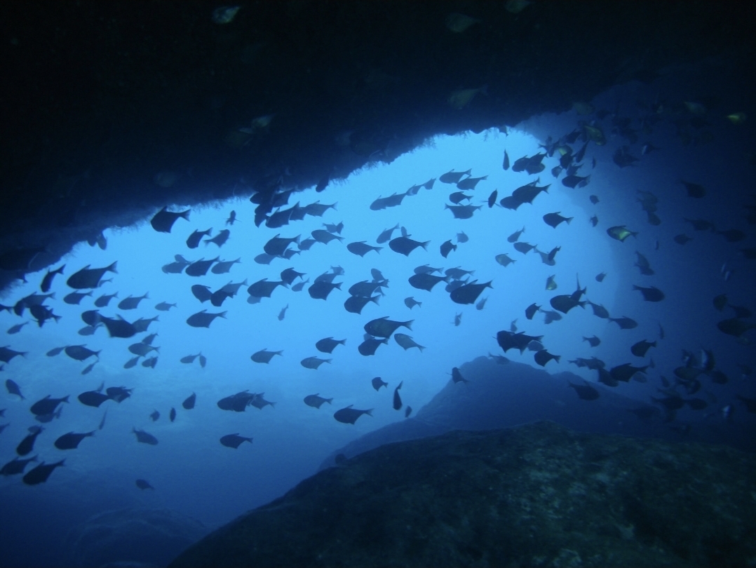 Deep Sea Diving Center