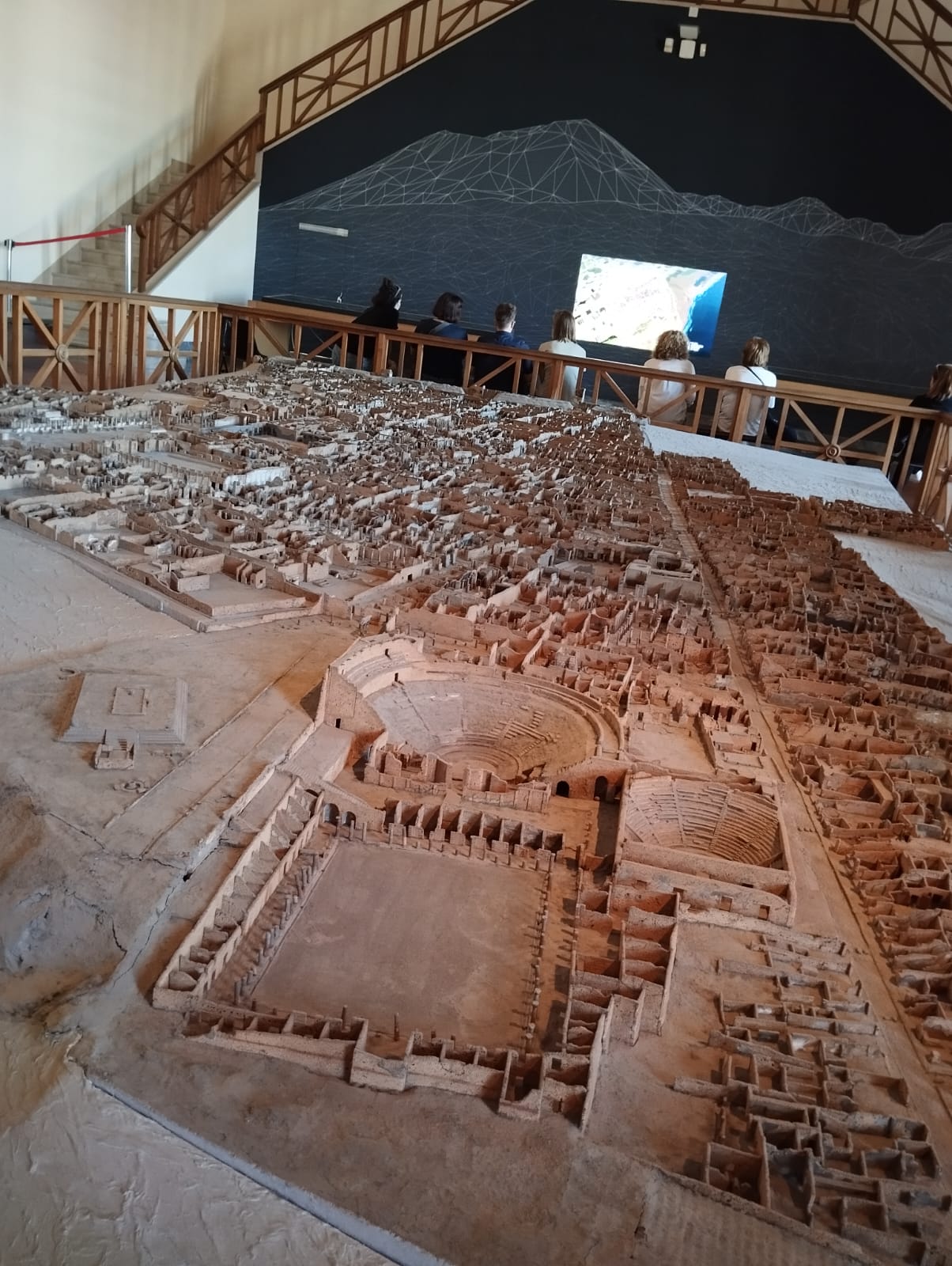 Dr Pina Esposito, PhD