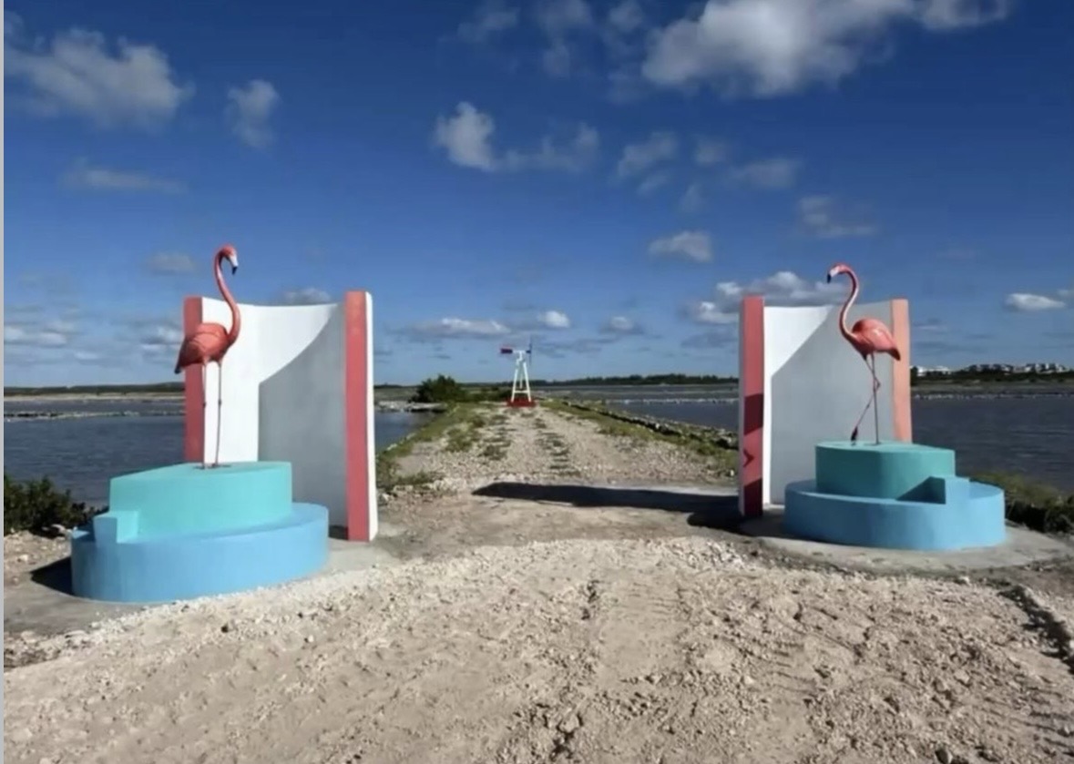 Harbour E-Bike Rentals