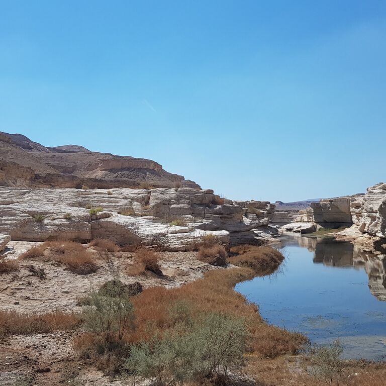 Israel Jeep Tourism