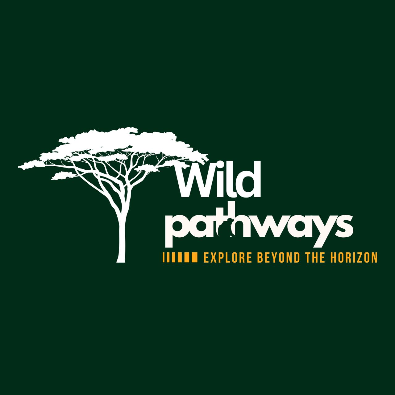 Safari game drives in Pilansberg national park and Dinokeng game reserve