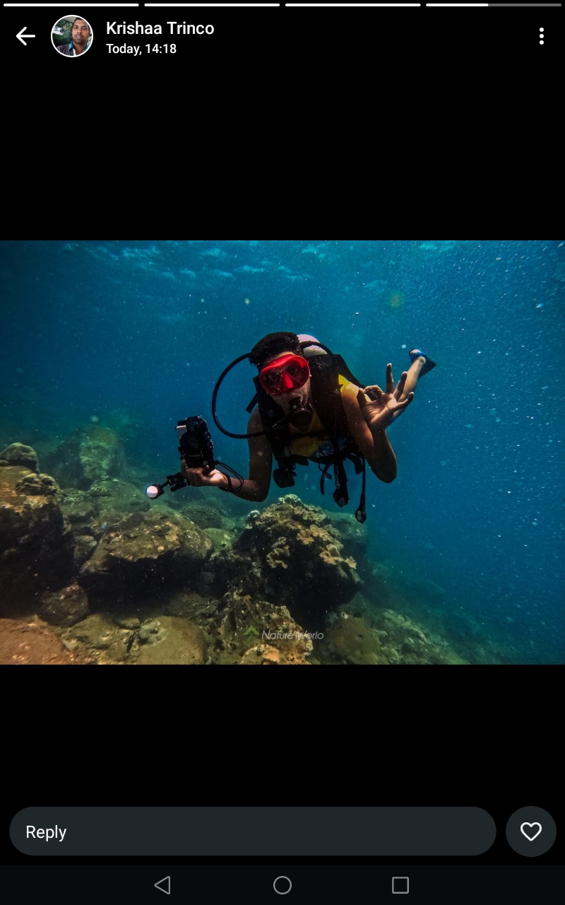 Parami Relaxation centre and Resort