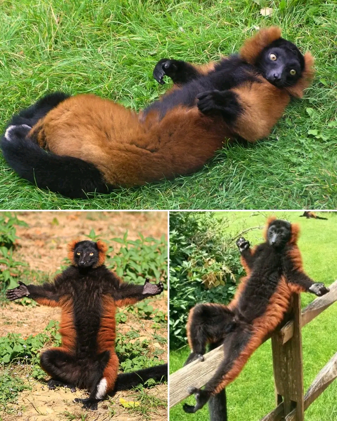 Madagascar junga tour