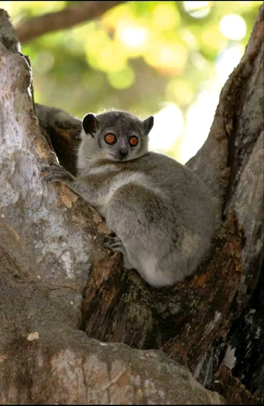 Madagascar junga tour