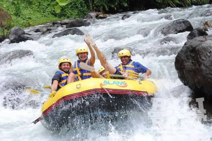 Widhi bali private tour