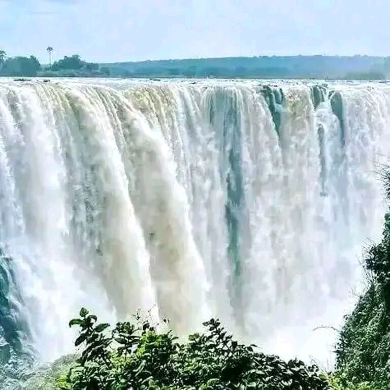 Southern Wild Travel and Tours