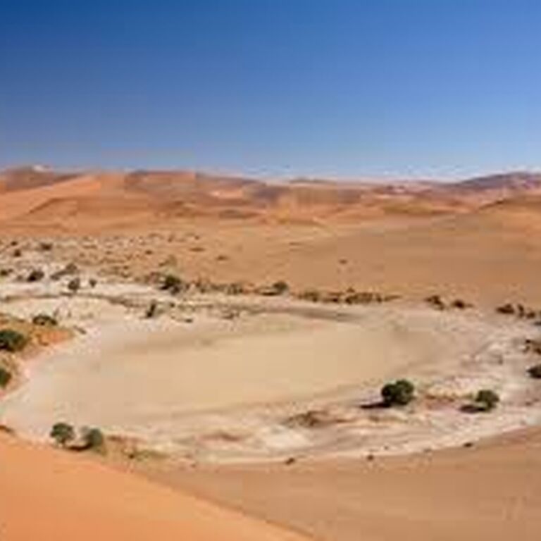 Discovery Safaris and Tours
