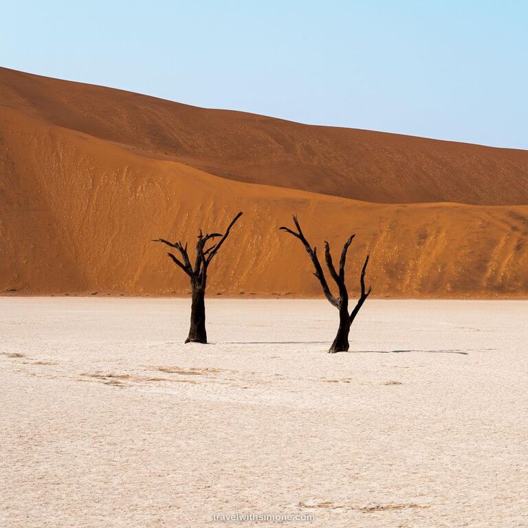Discovery Safaris and Tours