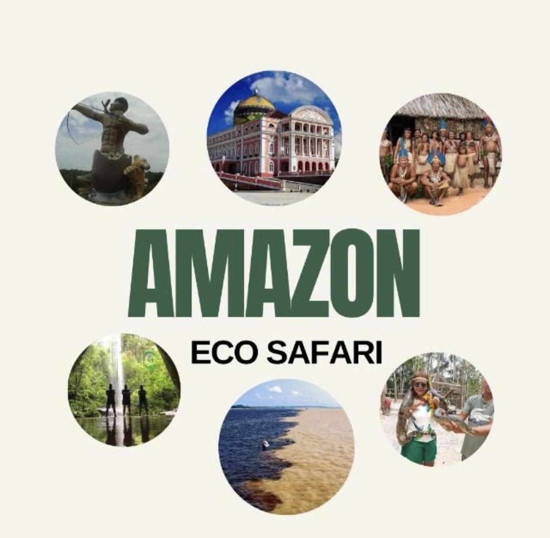 Amazon eco safari