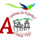 Spanish Academy Ciudad Vieja
