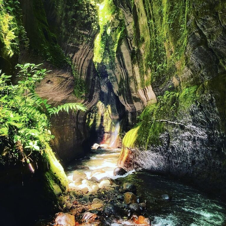 La Vieja Adventures