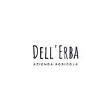 Winery Dell'Erba