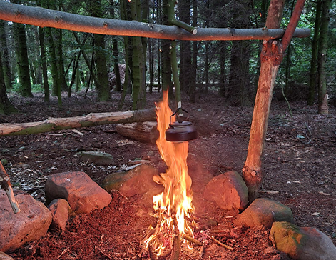 Earth & Nature Adventures