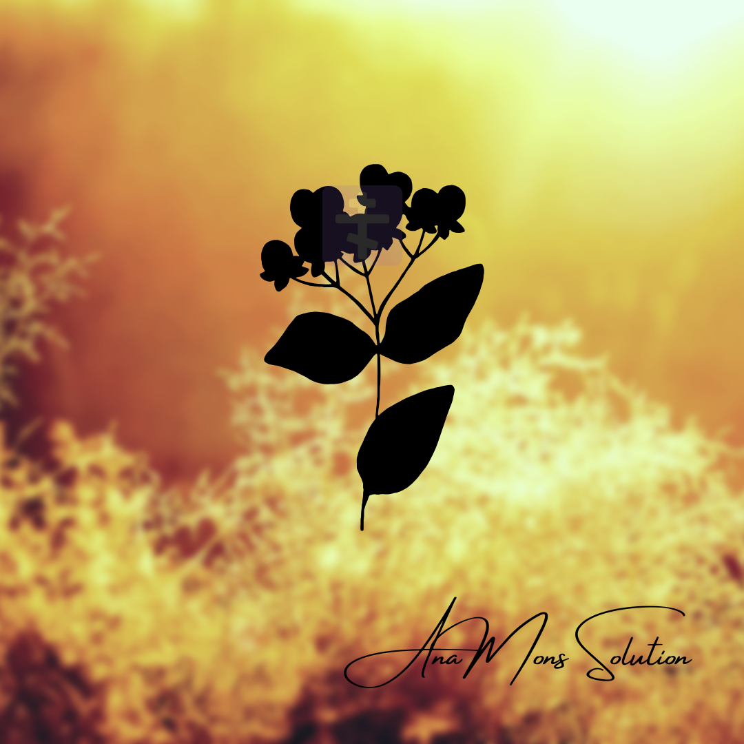 Mons Solution - Travel and Passenger Transportation Reservation Service