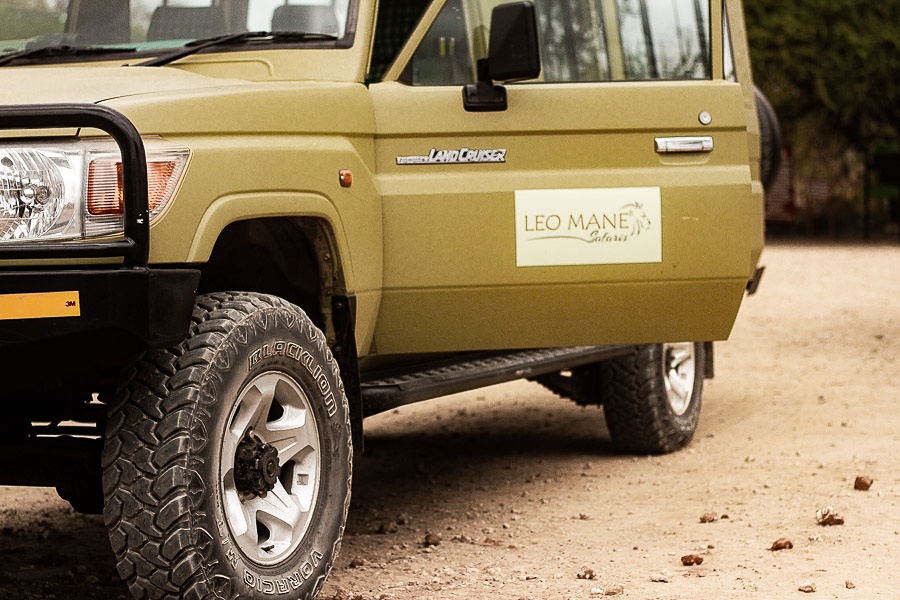 Leo Mane Safaris