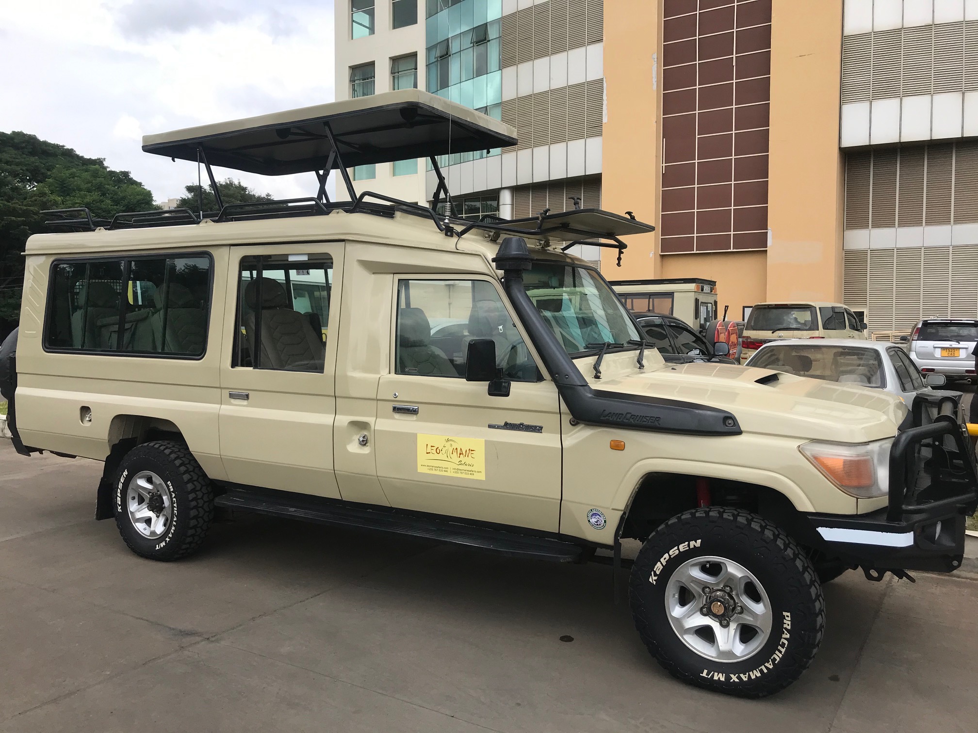 Leo Mane Safaris