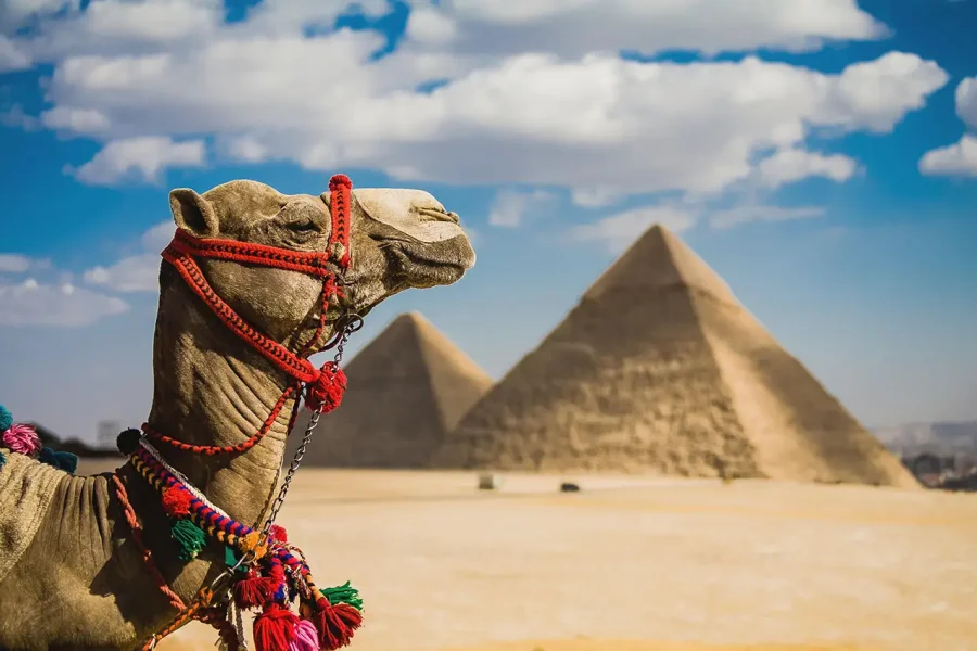 Day in Cairo: Pyramids, Sphinx, Citadel, Egyptian Museum