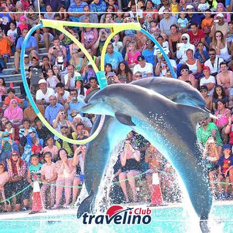 Sharm tours