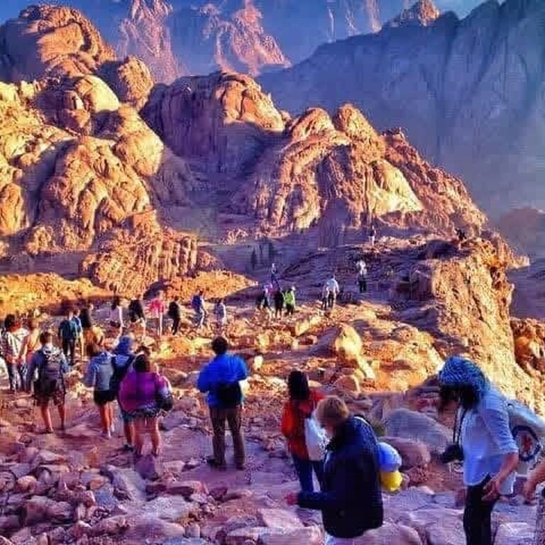 Sharm tours