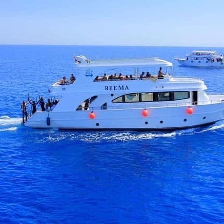 Sharm tours