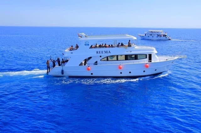 Sharm tours