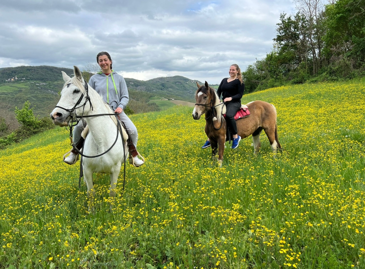 Ranch La rosa dei Venti