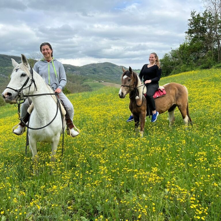 Ranch La rosa dei Venti