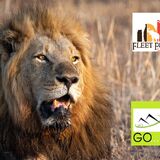 Fleet Foot Safaris