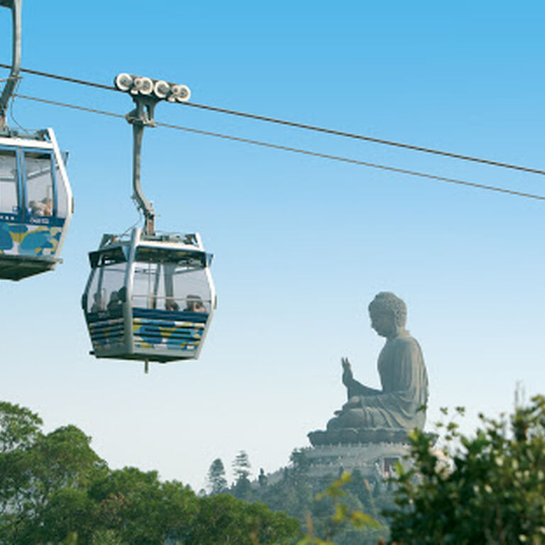 Splendid Tours & Travel