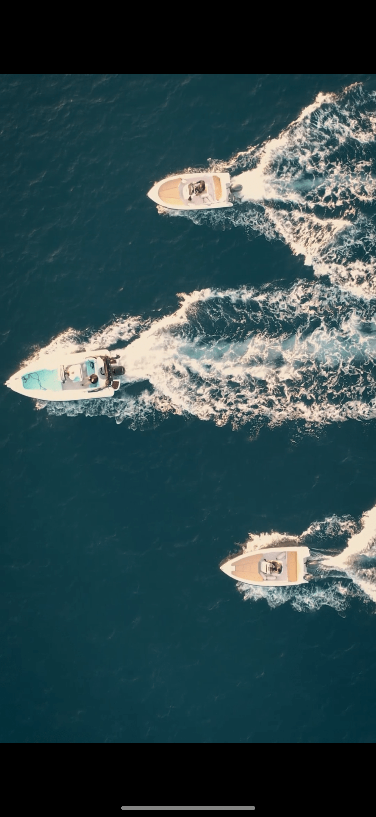 Senor Blue - A Boat Rental Company