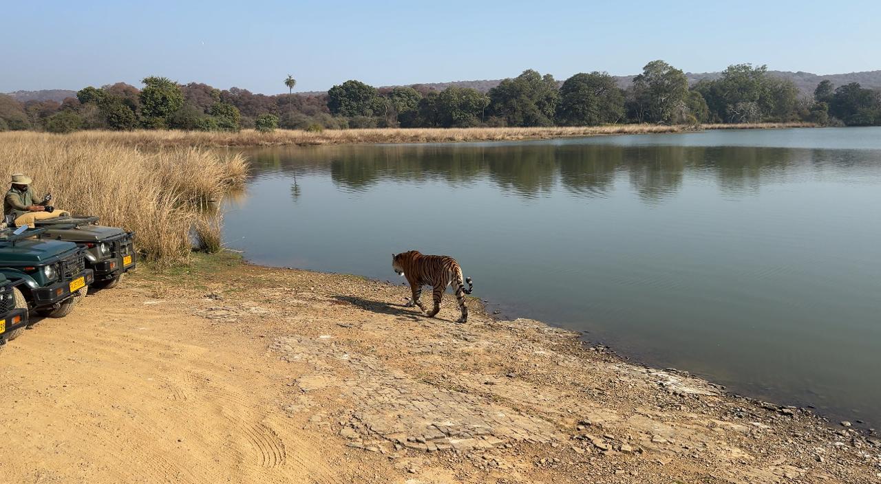 visit2ranthambhore