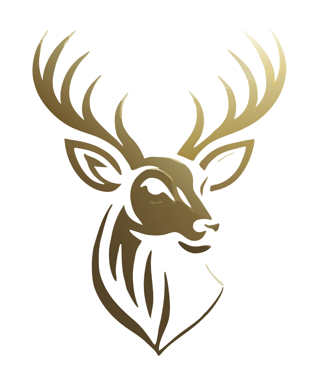 Scandinavian&Nordic Travel