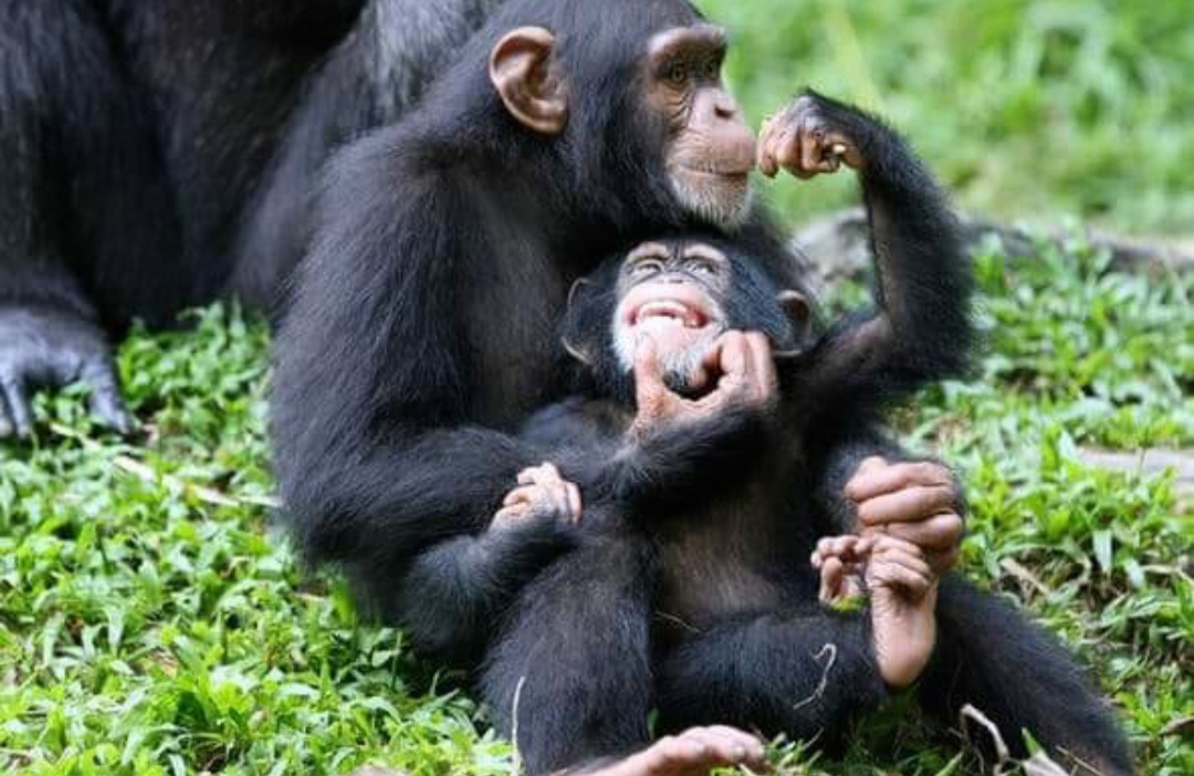 Great craters tours and travel