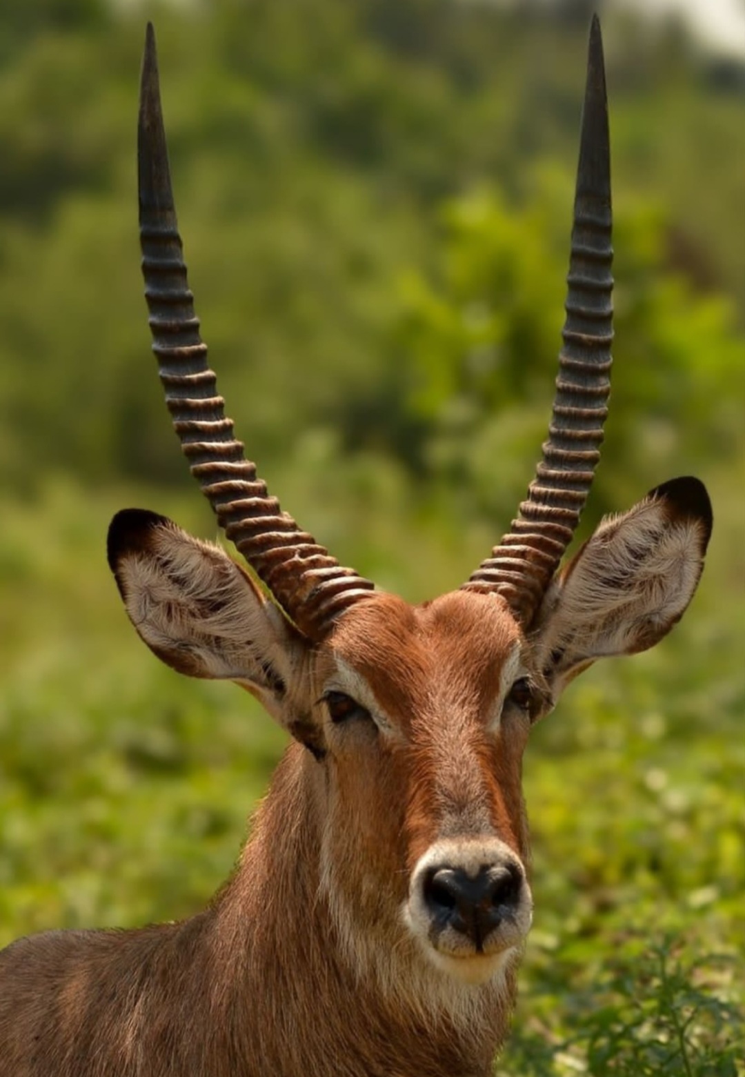 Great craters tours and travel