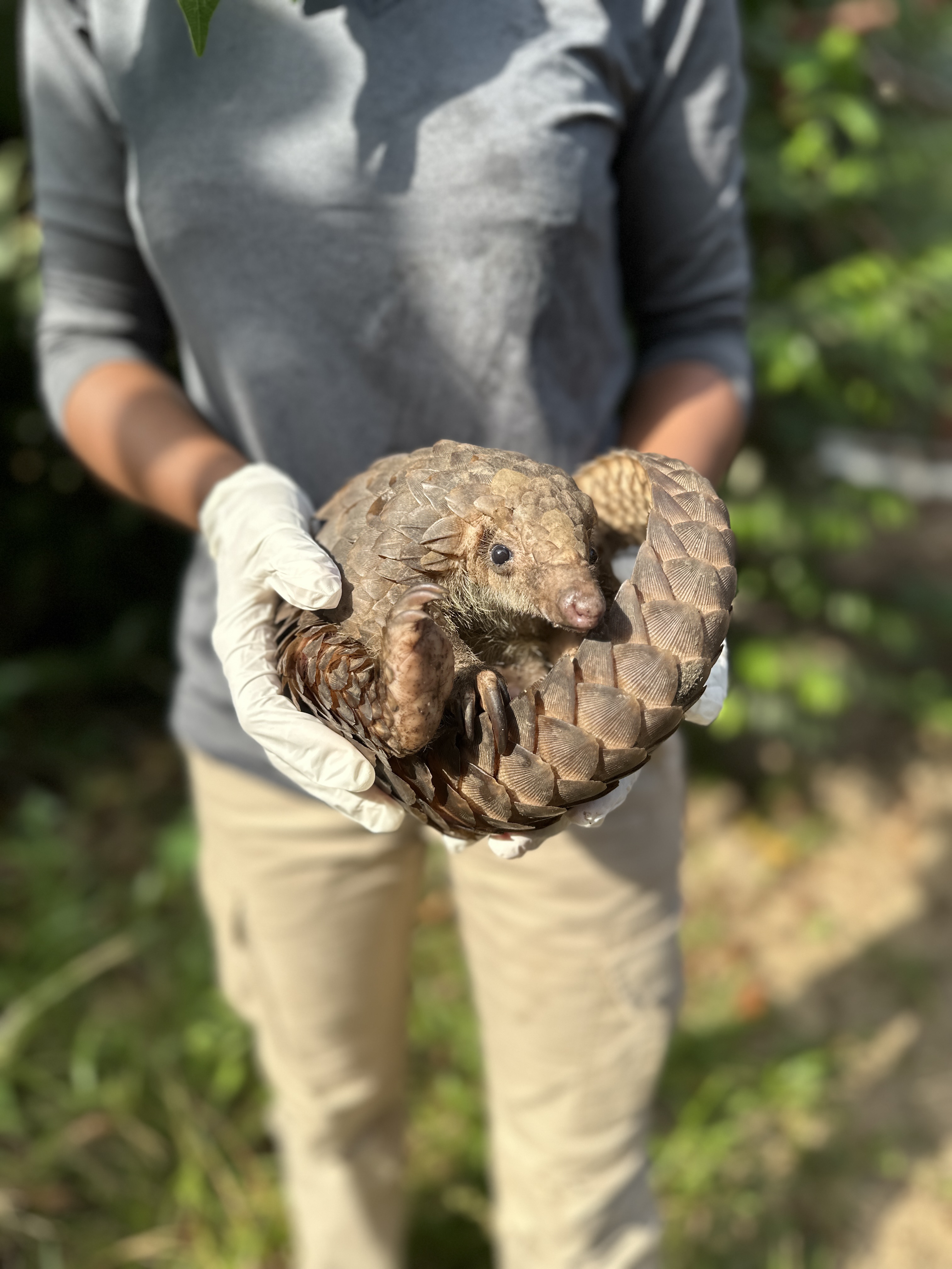 Libassa Wildlife Sanctuary